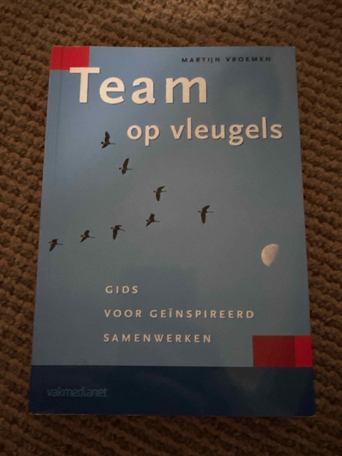 9789013066005-Team-op-vleugels