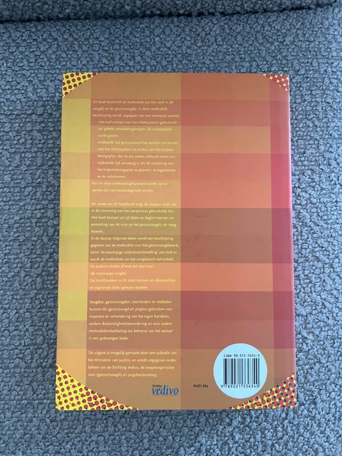 9789031336340-Gezinsvoogdij