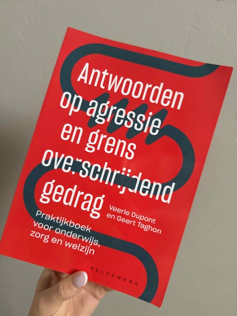 9789463371667-Antwoorden-op-agressie-en-grensoverschrijdend-gedrag