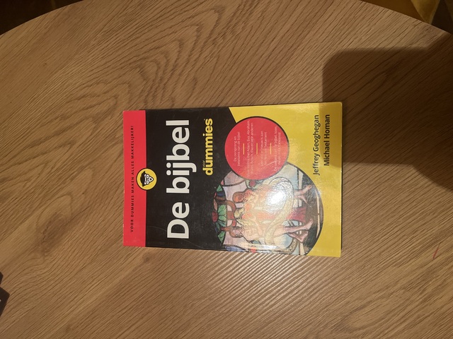 9789045350677-De-bijbel-voor-Dummies