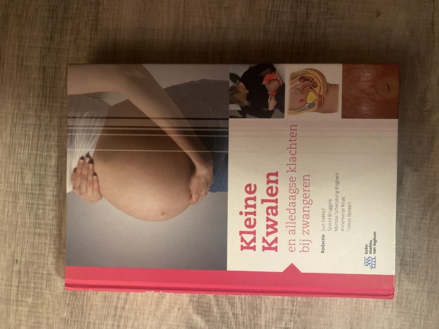 9789036824064-Kleine-Kwalen-en-alledaagse-klachten-bij-zwangeren
