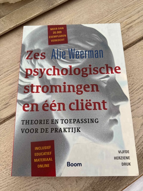 9789024402465-Zes-psychologische-stromingen-en-een-client
