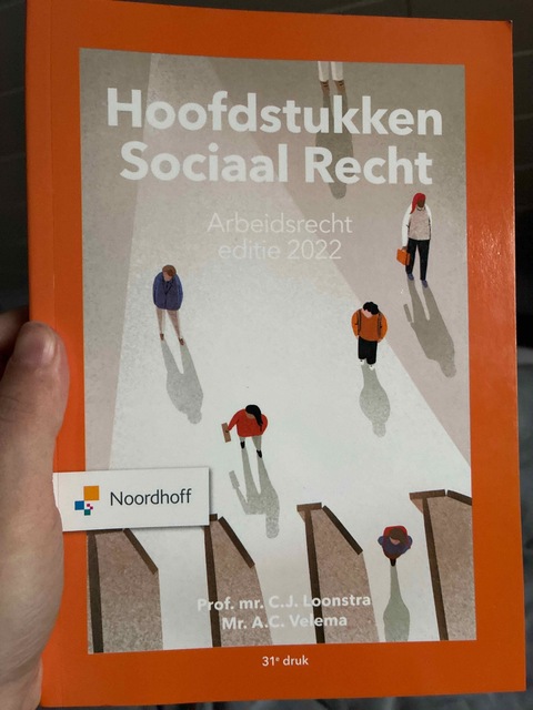 9789001299071-Hoofdstukken-sociaal-recht-2022