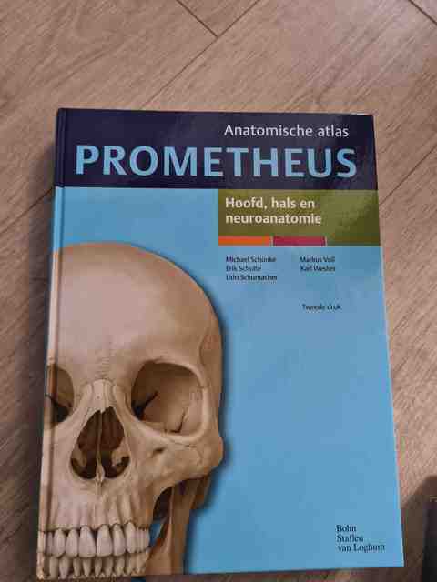 9789031384617-Hoofd-hals-en-neuroanatomie