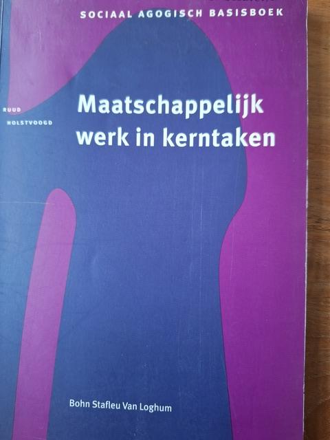 9789031315307-Maatschappelijk-werk-in-kerntaken-druk-2