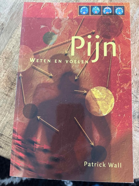 9789066653733-Pijn