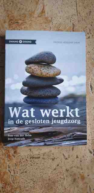 9789088503771-Wat-werkt