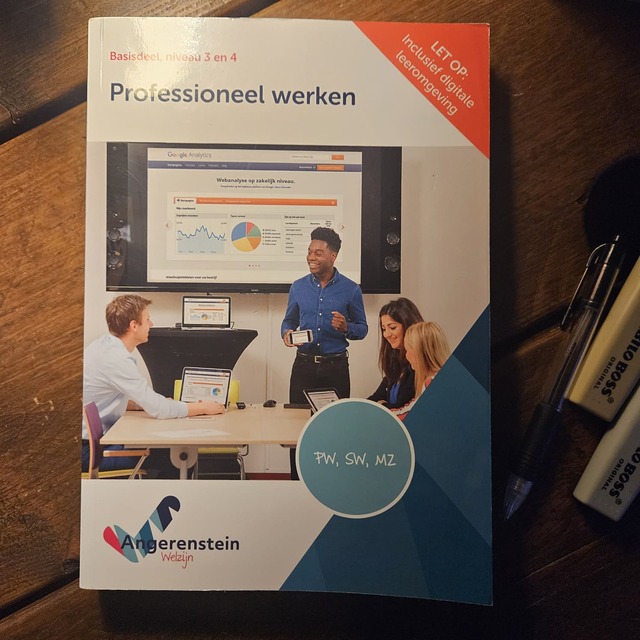 9789037254372-NIEUW-BOEK-Professioneel-werken