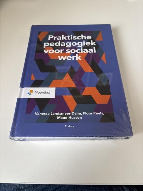 9789001297404-Praktische-pedagogiek-voor-sociaal-werk