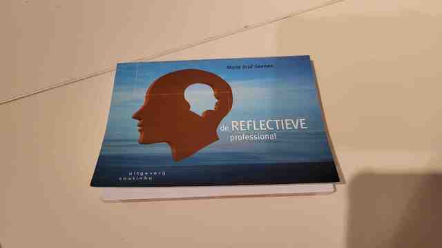 9789046904039-De-reflectieve-professional