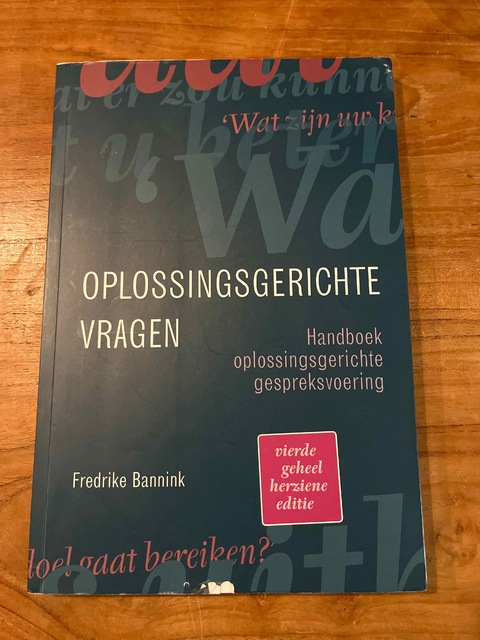 9789043036566-Oplossingsgerichte-vragen