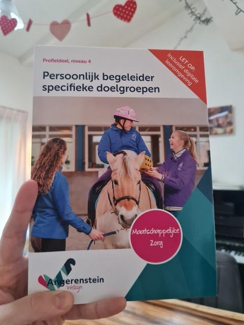9789037229653-Persoonlijk-begeleider-specifieke-doelgroepen