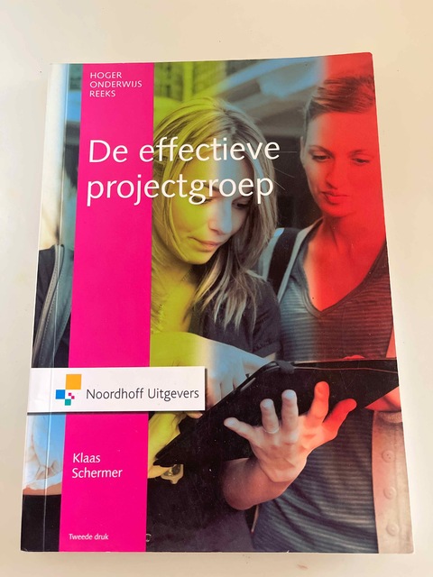 9789001910501-De-effectieve-projectgroep-1