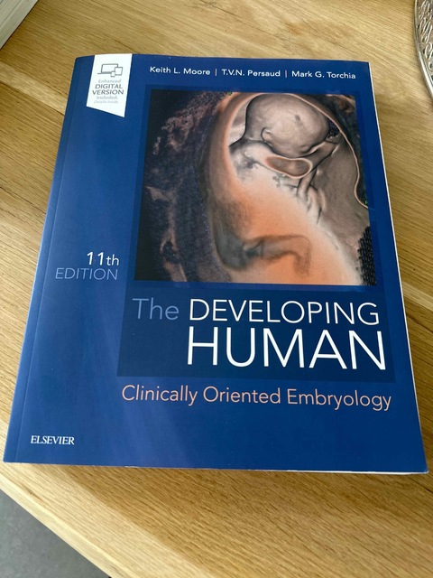 9780323611541-The-Developing-Human