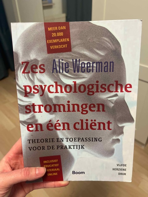 9789024402465-Zes-psychologische-stromingen-en-een-client