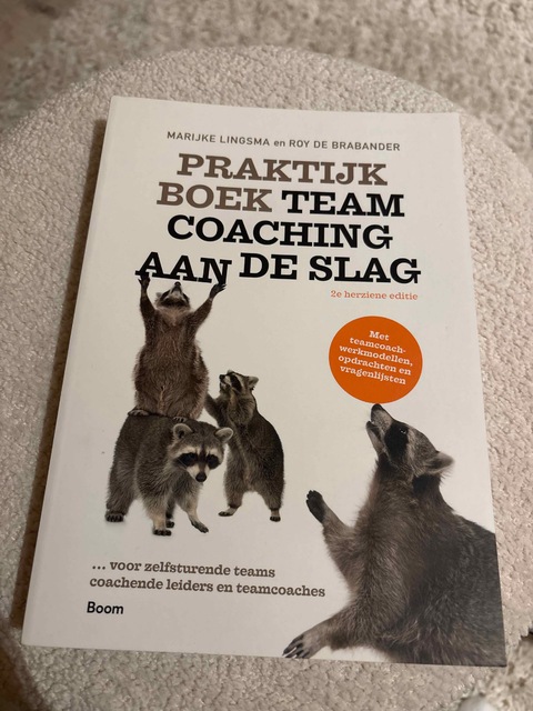 9789024425716-Praktijkboek-Teamcoaching-aan-de-slag