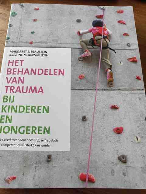 9789088505157-Het-behandelen-van-trauma-bij-kinderen-en-jongeren