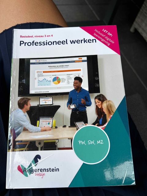 9789037254372-NIEUW-BOEK--Professioneel-werken