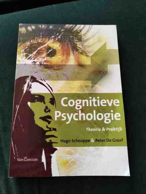 9789023246978-Cognitieve-psychologie
