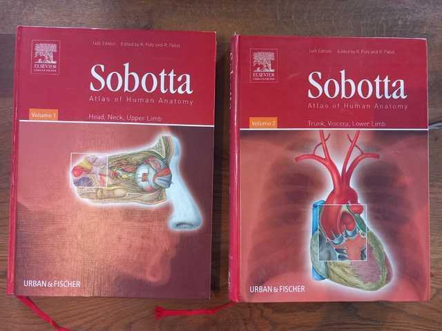 9780443103483-Atlas-of-Human-Anatomy-Volume-1