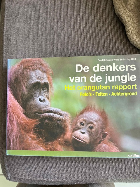 9783833146268-De-denkers-van-de-jungle