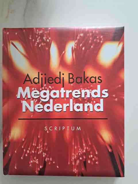 9789055943814-Megatrends-Nederland