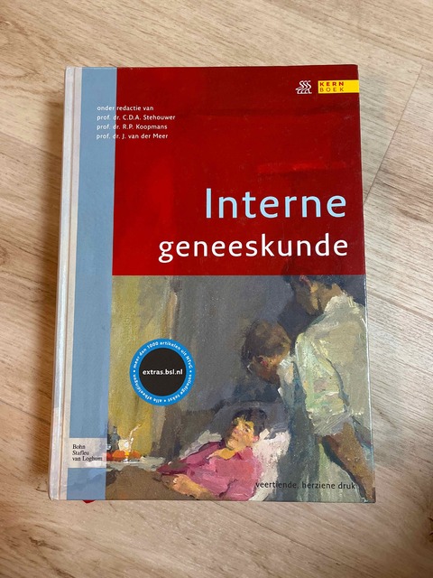 9789031373604-Interne-geneeskunde