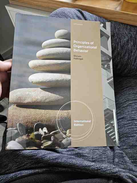 9780538743341-Principles-of-Organizational-Behavior-International-Edition