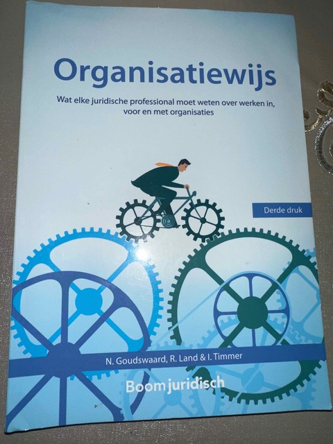 9789462908833-Organisatiewijs