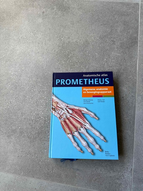 9789031343850-Algemene-anatomie-en-bewegingsapparaat