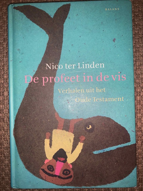 9789050188739-De-profeet-in-de-vis