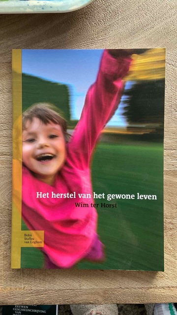 9789031329939-Het-herstel-van-het-gewone-leven