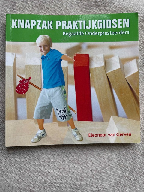 9789461938879-Begaafde-Onderpresteerders