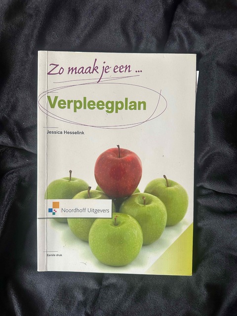 9789001804961-Zo-maak-je-een-verpleegplan