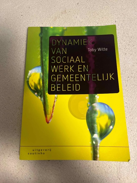 9789046906873-Dynamiek-van-sociaal-werk-en-gemeentelijk-beleid