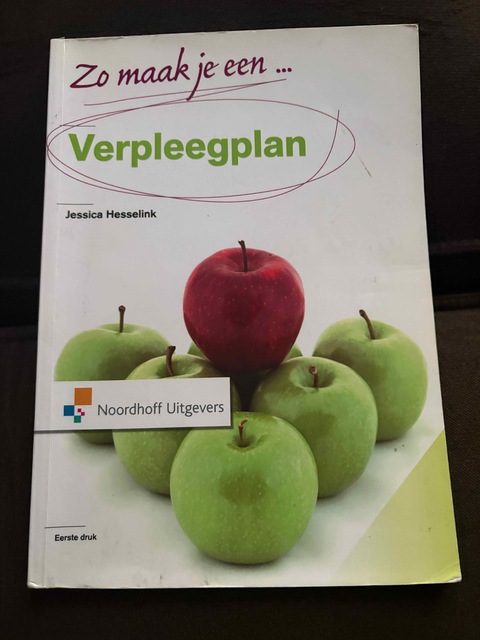 9789001804961-Zo-maak-je-een-verpleegplan