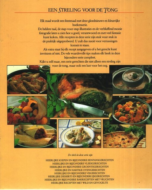 9789026931161-Heerlyke-en-byzondere-vleesgerechte