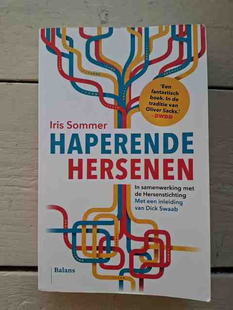 9789460038327-Haperende-hersenen