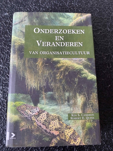 9789052612911-Onderzoeken-en-veranderen-van-organisatiecultuur