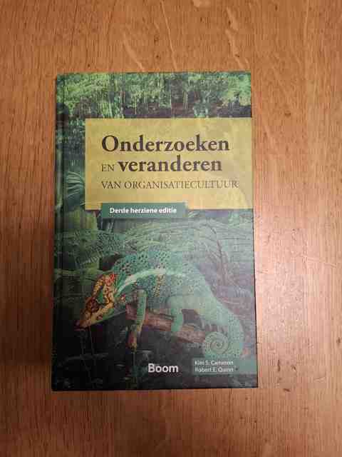 9789052618890-Onderzoeken-en-veranderen-van-organisatiecultuur