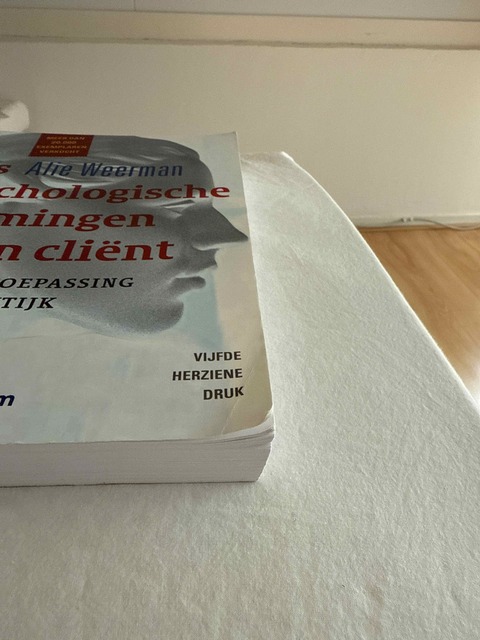 9789024402465-Zes-psychologische-stromingen-en-een-client