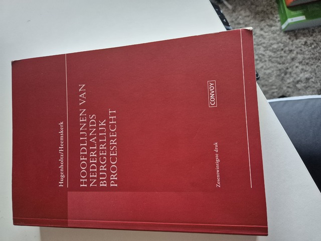 9789463173001-Hoofdlijnen-van-Nederlands-Burgerlijk-Procesrecht