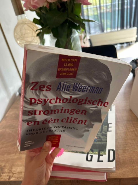 9789024402465-Zes-psychologische-stromingen-en-een-client