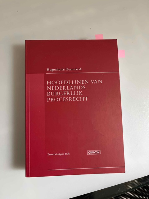 9789463173001-Hoofdlijnen-van-Nederlands-Burgerlijk-Procesrecht