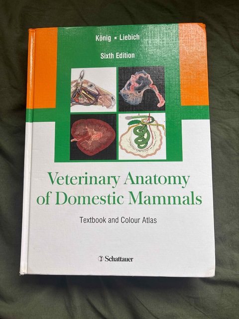 9783794528332-Bragulla-H-Veterinary-Anatomy-Domestic-Mammals