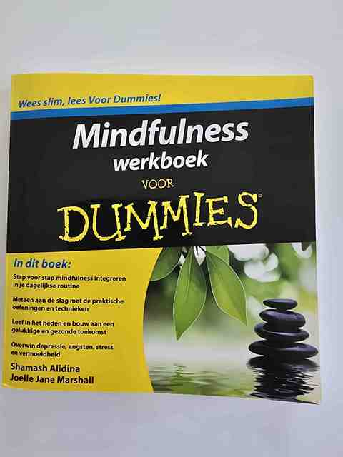 9789043028141-Mindfulness-werkboek-voor-Dummies