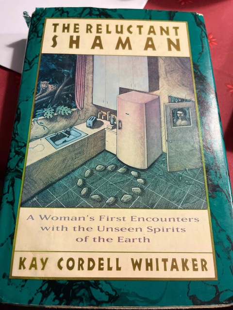 9780062509536-The-Reluctant-Shaman