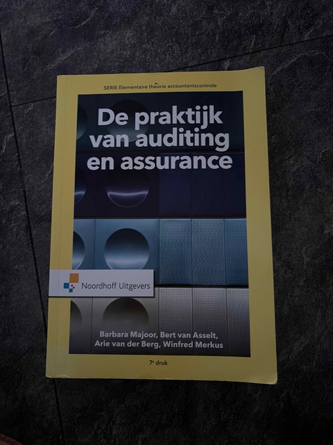 9789001867126-De-praktijk-van-auditing-en-assurance