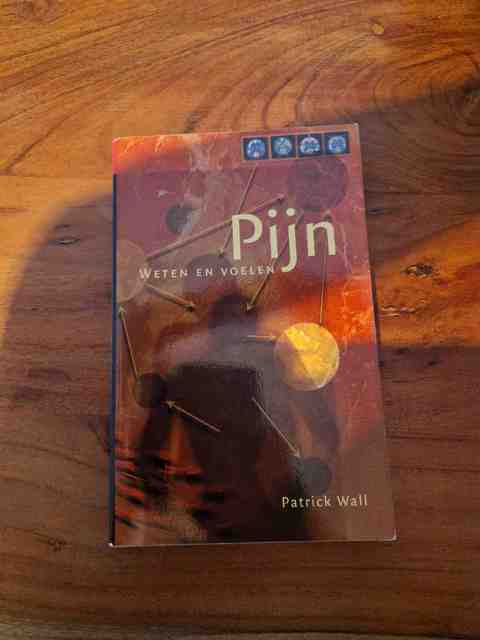 9789066653733-Pijn