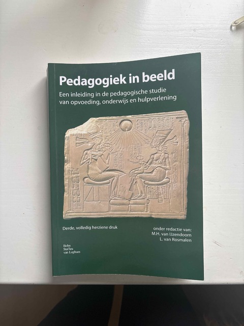 9789036806152-Pedagogiek-in-beeld